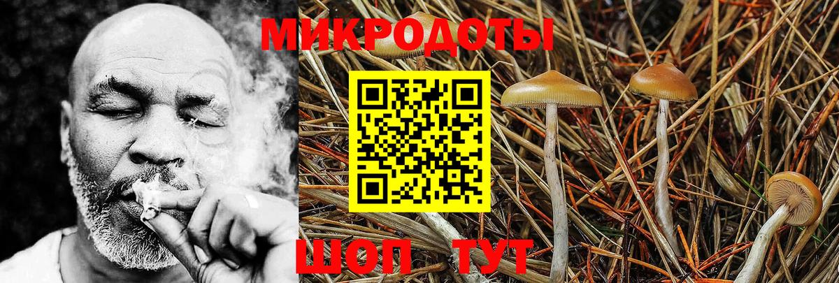 Нижневартовск  Галлюциногенные грибы Psilocybine cubensis  Вход с VPN 