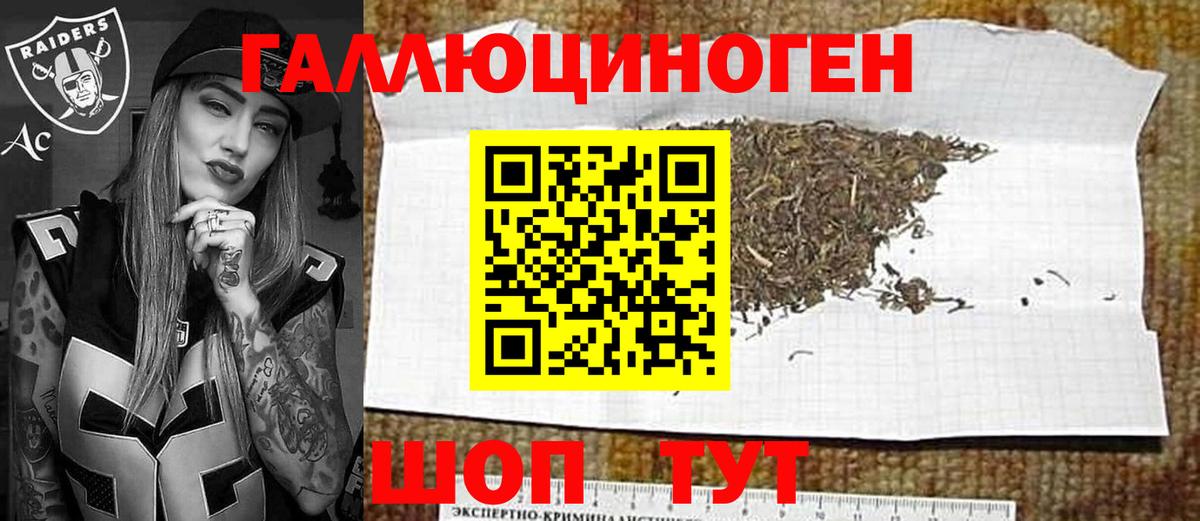 Галлюциногенные грибы Psilocybe Нижневартовск